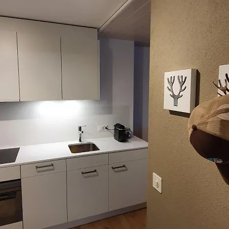 Zentrum Lai 176 Hm Whg 103 Steibogg レンツァーハイデ