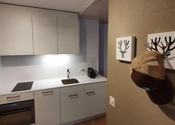 Zentrum Lai 176 Hm Whg 103 Steibogg Lenzerheide